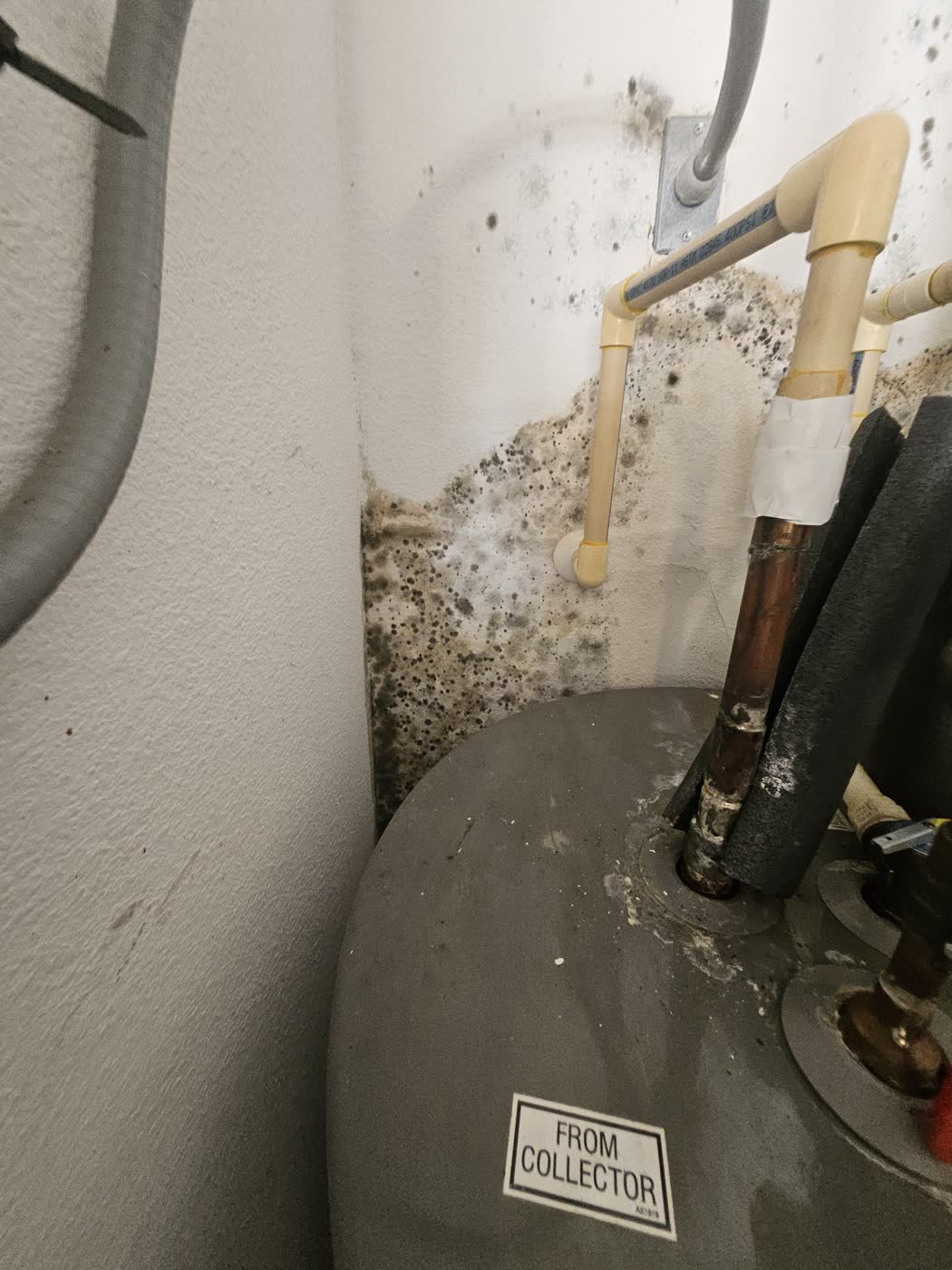 Water heater closet before the cleanup